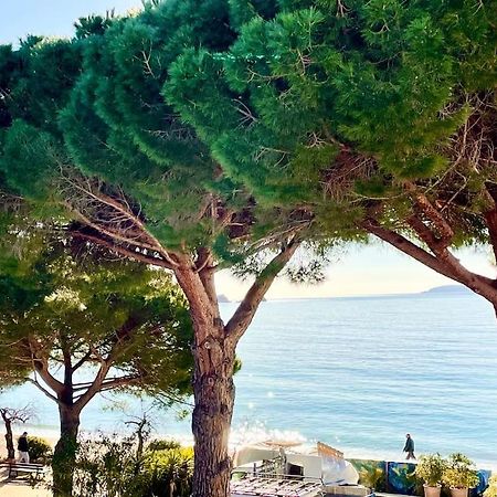 Appartement Les Pieds Dans L'Eau A Cavaliere Le Lavandou Kültér fotó