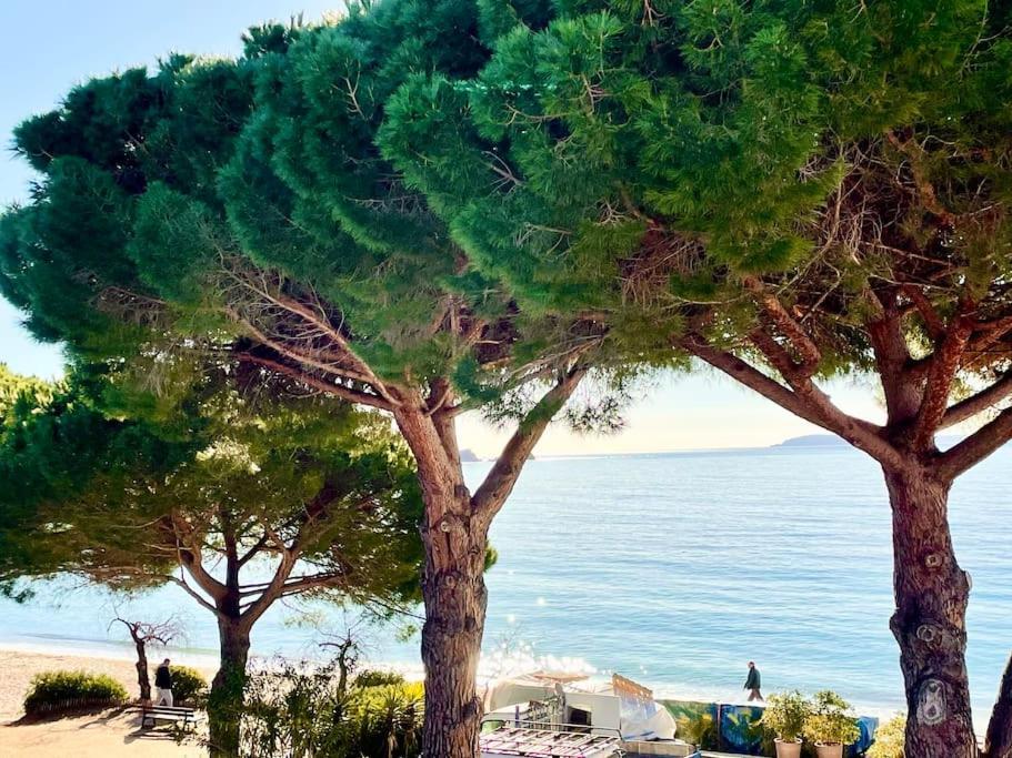 Appartement Les Pieds Dans L'Eau A Cavaliere Le Lavandou Kültér fotó