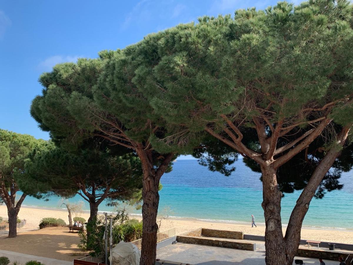 Appartement Les Pieds Dans L'Eau A Cavaliere Le Lavandou Kültér fotó